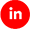 LinkedIn Logo