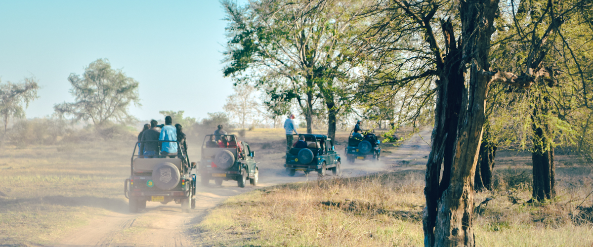 Jeep Safari at Rajaji Wildlife Safari