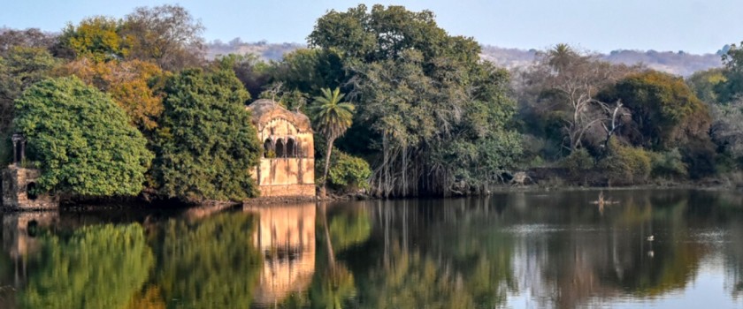 Ranthambore Wildlife Safari - AdventuRush