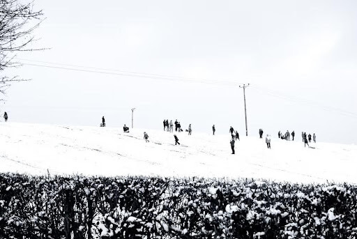 Sledging in Manali
