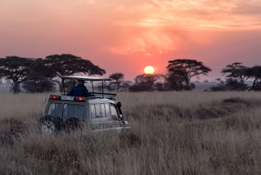 Kanha National Park
