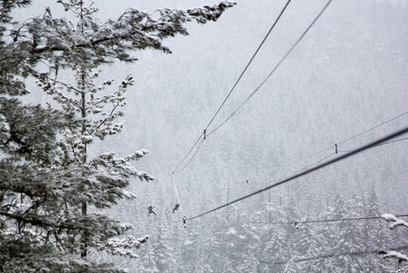 Zip-Lining Over the Dharamshala Valley