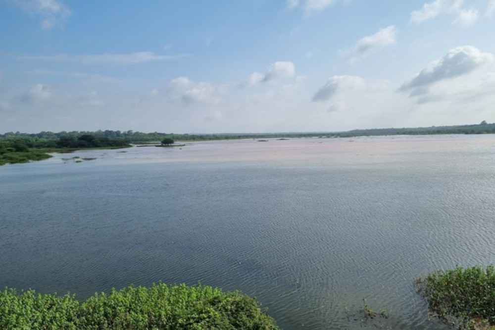 Hesaraghatta Lake and Falls