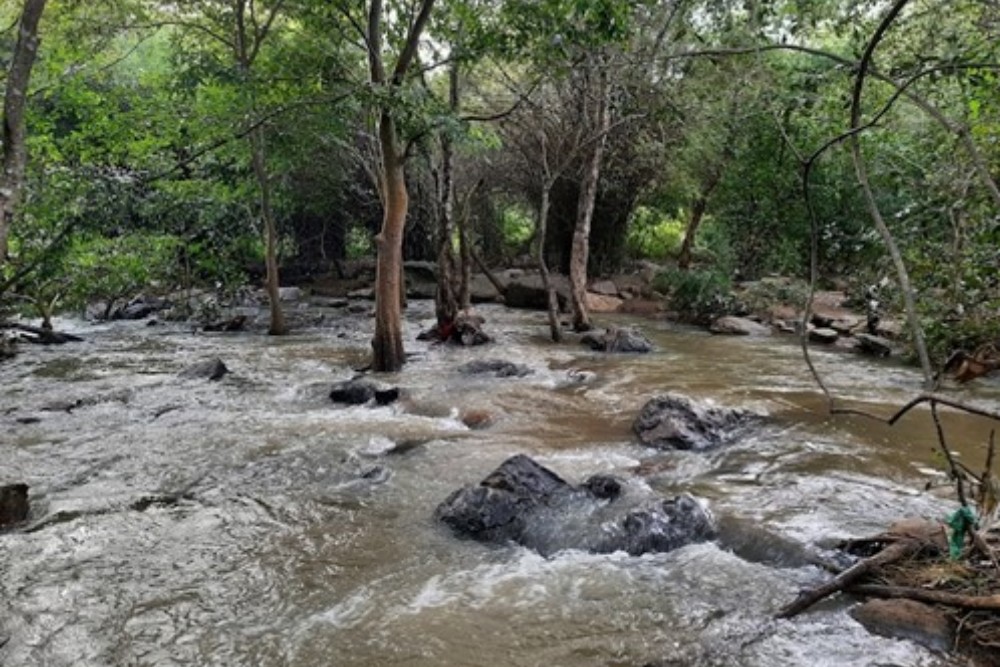 Thottikallu Falls