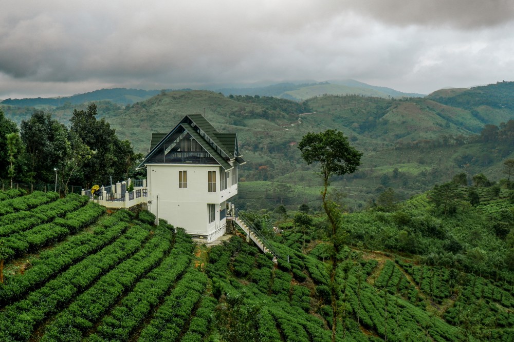 Vagamon - The Offbeat Paradise