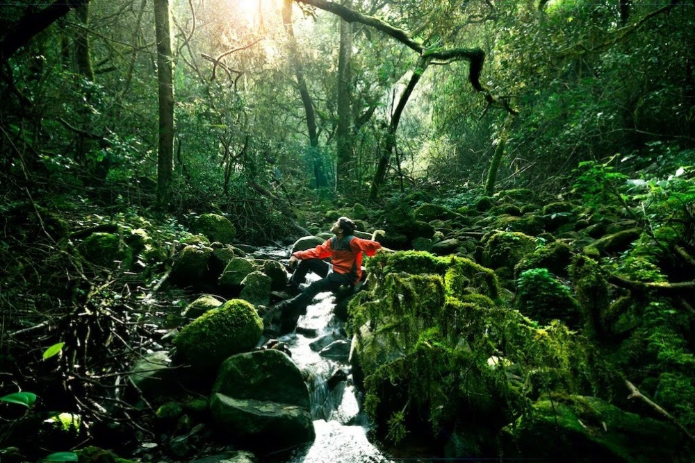 Kumara Parvatha trek
