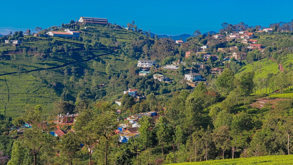 Ooty - Tamil Nadu