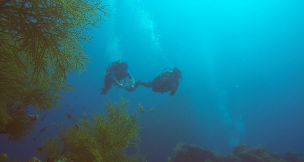 Scuba Diving In Andaman Island